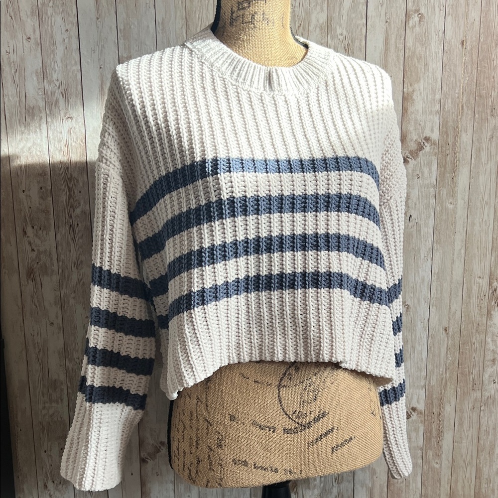 🐺Pink Rose Striped Knit Sweater - Cream and Blue